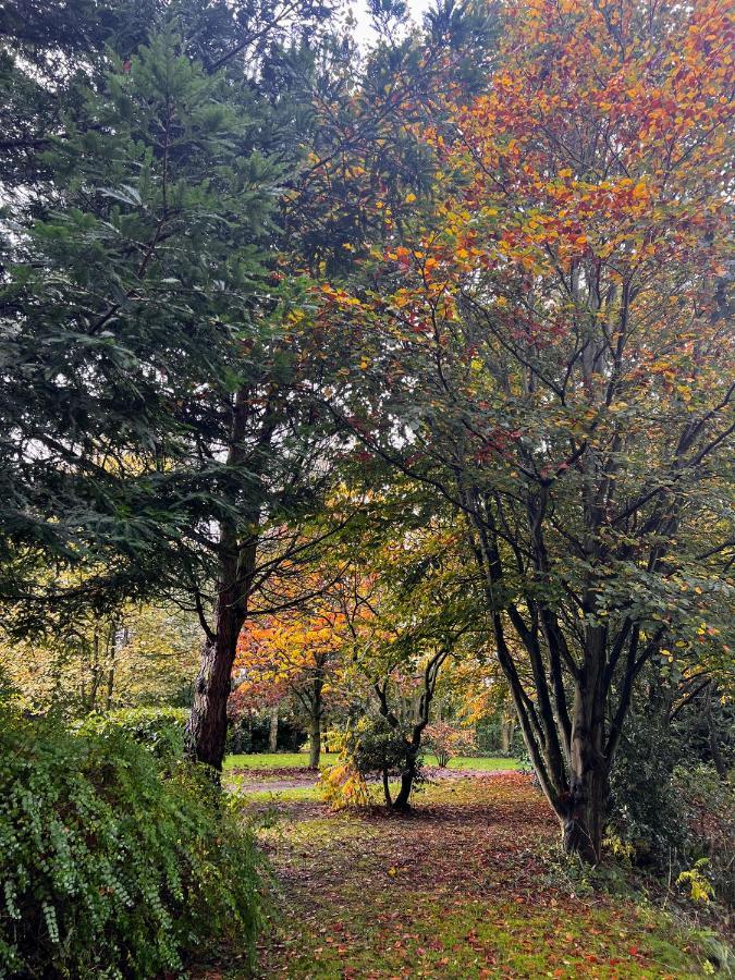 Secluded Rustic - A Digital Detox Paradise. * York