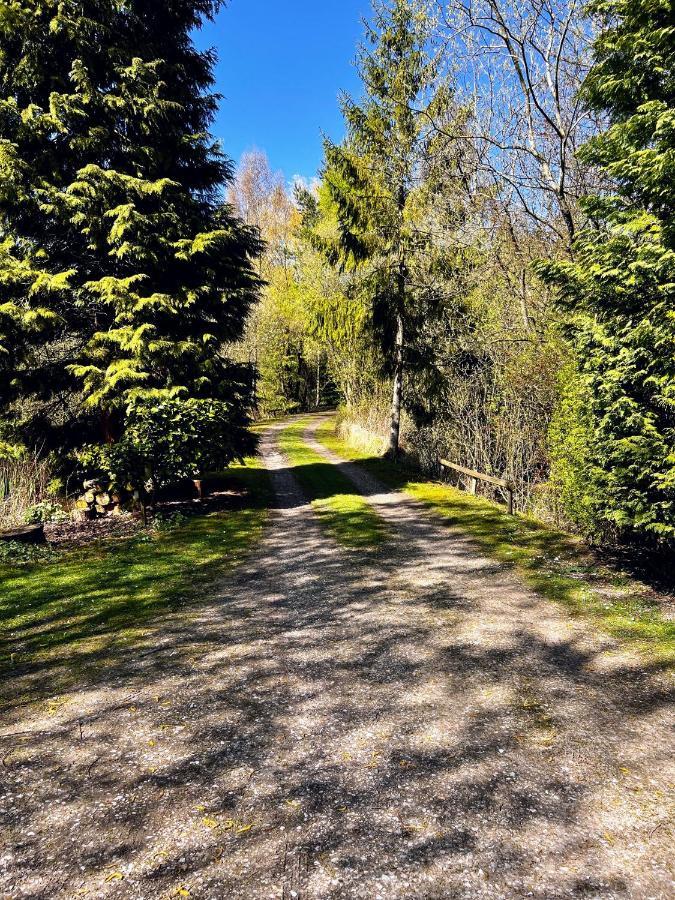 Secluded Rustic - A Digital Detox Paradise. Chalet York